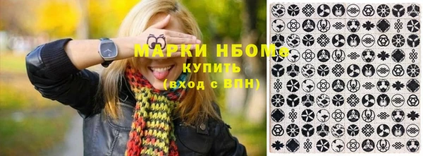 индика Майский