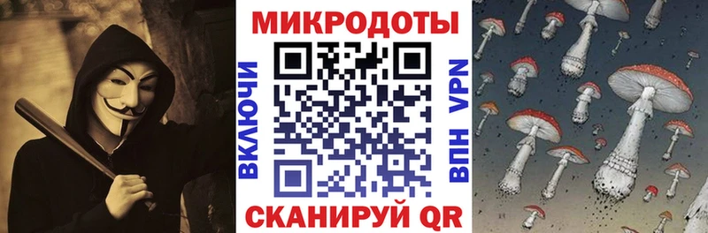 Галлюциногенные грибы Psilocybine cubensis кракен как зайти Константиновск купить наркотик