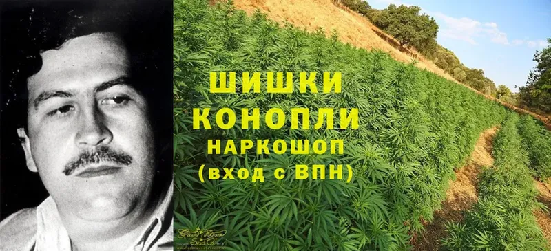 Бошки Шишки OG Kush  Константиновск 